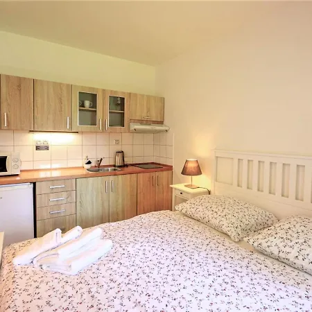 Apartment Arnoltice 3 By Interhome